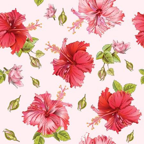 Red hibiscus pattern