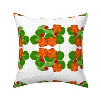 Nasturtium Garden-medium