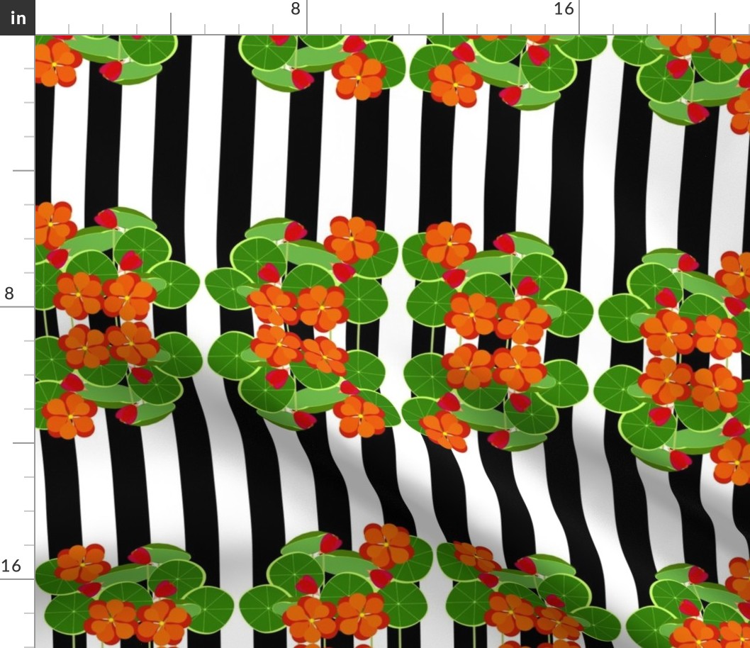 Nasturtiums and Stripes