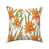 day lily on white 10x10