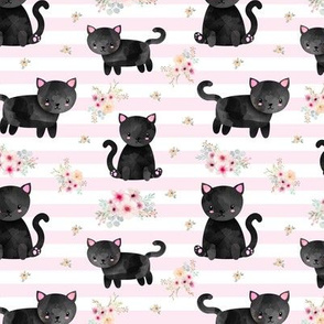 Black Kitten Floral - Pink Stripes