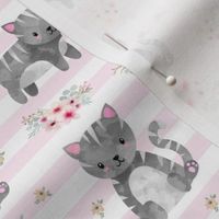 Grey Tabby Kitten Floral - pink stripes