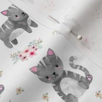 Kitten Grey Tabby Floral