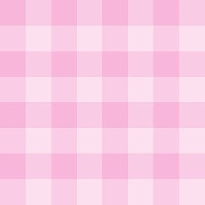 JP13 - Pink Fantasy Buffalo Plaid with 1 inch squares