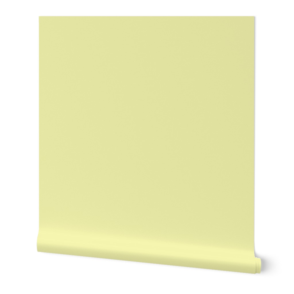 canary yellow lemon citrus solid color