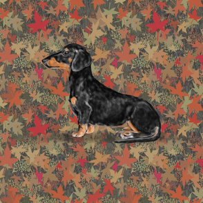 Black and Tan Dachshund for Pillow