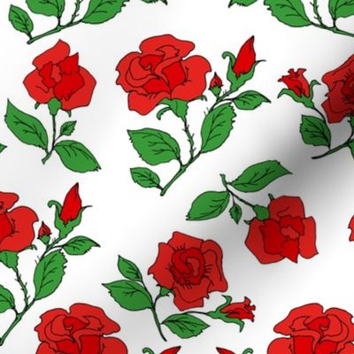 red roses on white