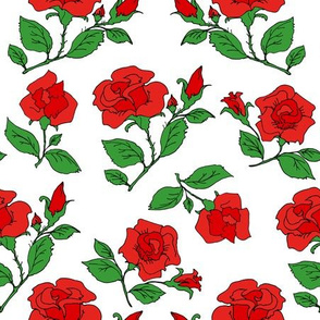 red roses on white
