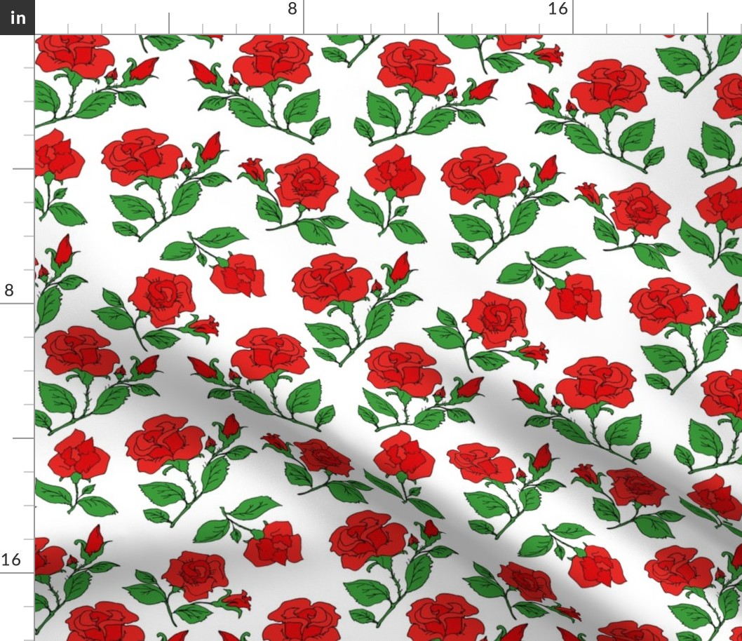 red roses on white