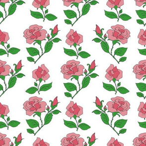 pink roses on white