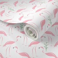 Retro Flamingos & Tully Grass