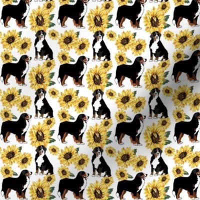 Tiny Print  Bernese Mountain Dogs with Sunflowers 2.25x 2.25 inch repeat Dog fabric