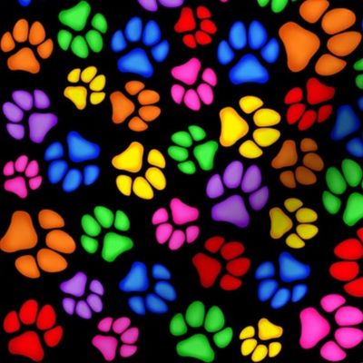 Rainbow Paw Print Scattered on Black Large