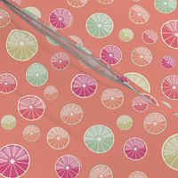 Fresh Citrus Slices in Raspberry, Pink, and lime green on vermillion | small