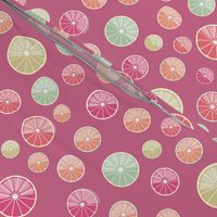 colorful citrus slices on raspberry