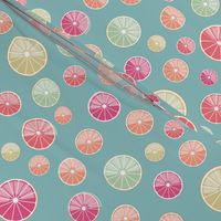 colorful citrus slices on blue