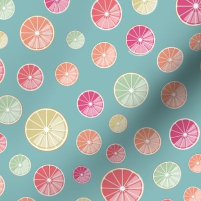 colorful citrus slices on blue