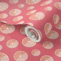 colourful citrus slices on pink