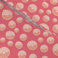 colourful citrus slices on pink