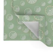 citrus slices on green