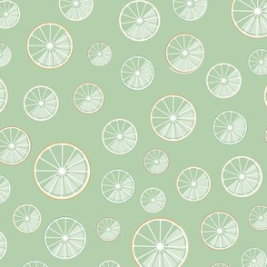 citrus slices on green