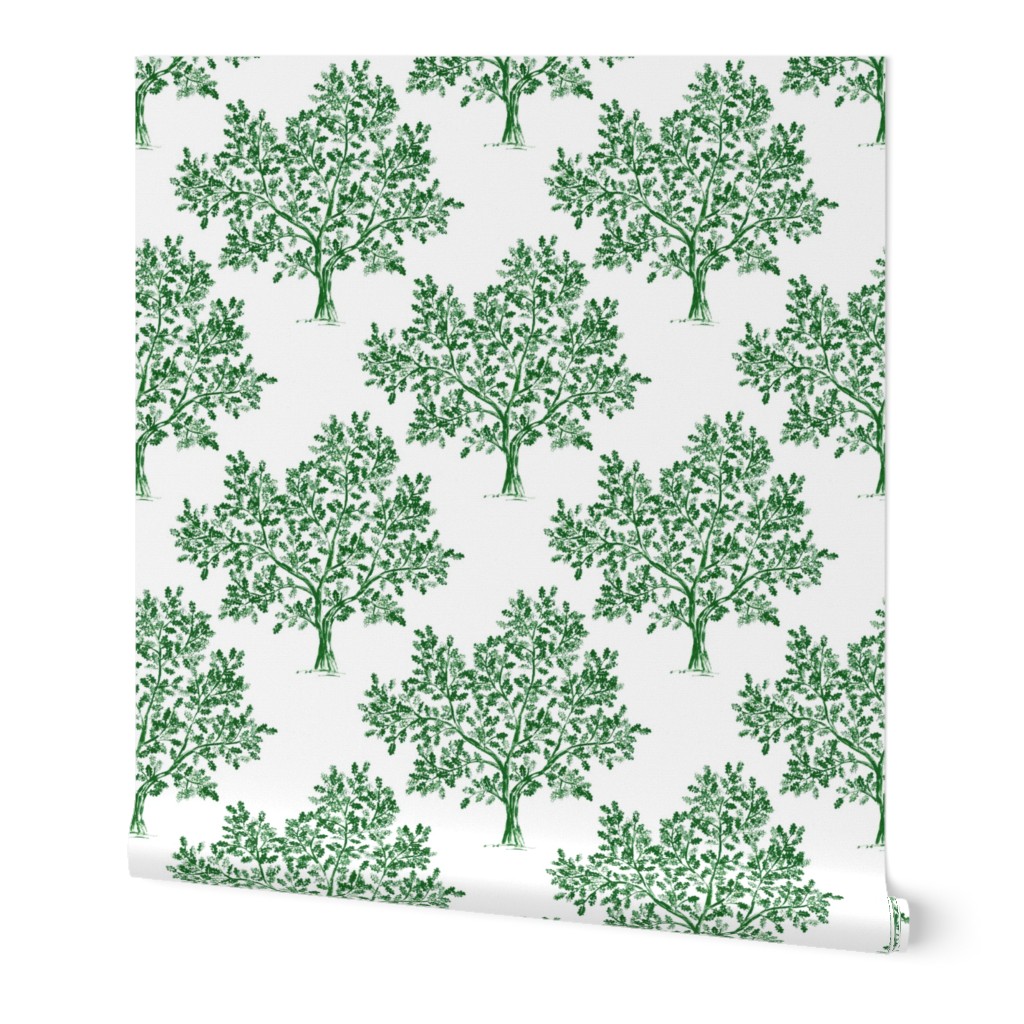 Oak tree (Emerald Green)