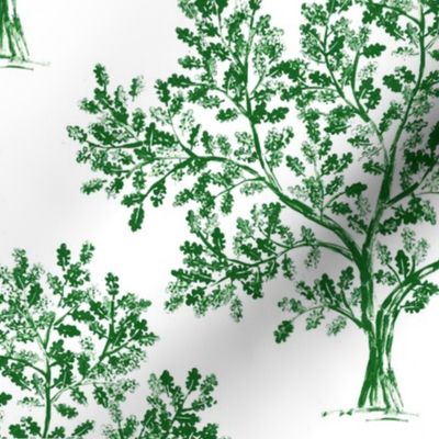 Oak tree (Emerald Green)