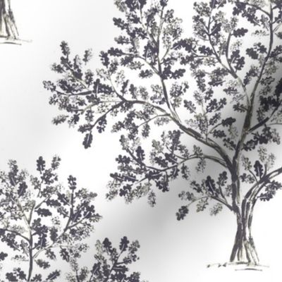 Oak Tree (Dark Grey)