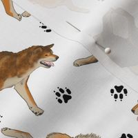 Trotting Shiba Inu and paw prints B - white