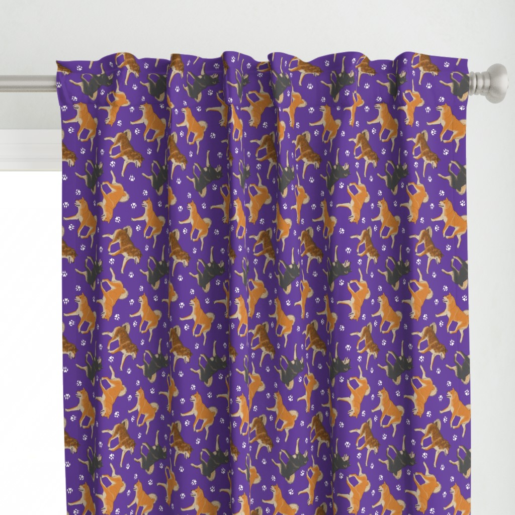 Trotting Shiba Inu and paw prints B - purple