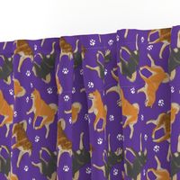 Trotting Shiba Inu and paw prints B - purple