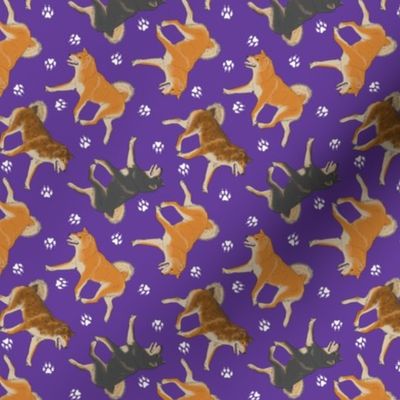 Tiny Trotting Shiba Inu and paw prints B - purple