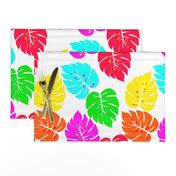 Neon Hawaiian Rainbow Monstera Leaves on White