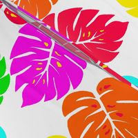 Neon Hawaiian Rainbow Monstera Leaves on White