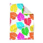 Neon Hawaiian Rainbow Monstera Leaves on White