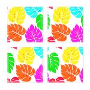 Neon Hawaiian Rainbow Monstera Leaves on White