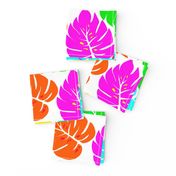 Neon Hawaiian Rainbow Monstera Leaves on White