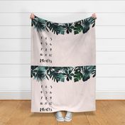 Tropical Leaves - Blush - Months - 54in