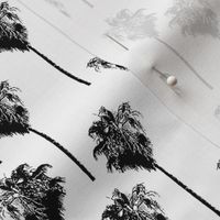 Vintage palm trees black on white