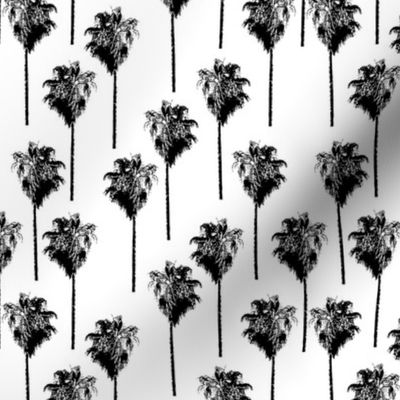 Vintage palm trees black on white