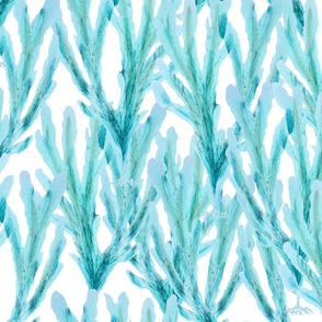 blue kelp on white