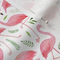 Watercolour Flamingos