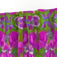 Sweet Pea Flower mirrored