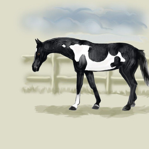 Piebald Pinto Horse for Pillow