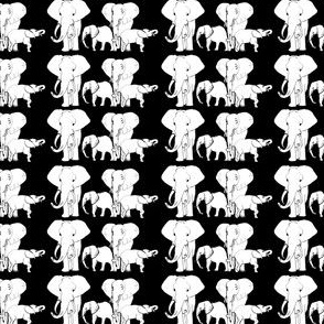 White Elephants on black background