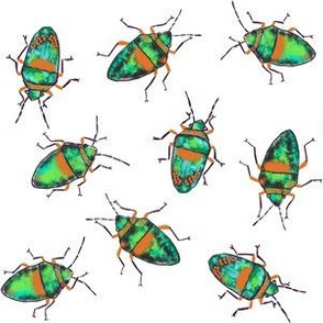 Emerald-Orange bugs toss