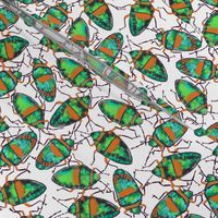 Emerald Bugs bunch