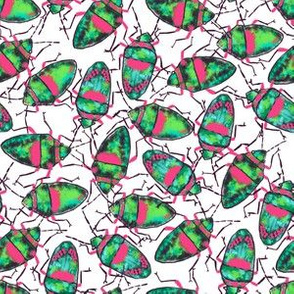 Emerald-Pink Bugs bunch