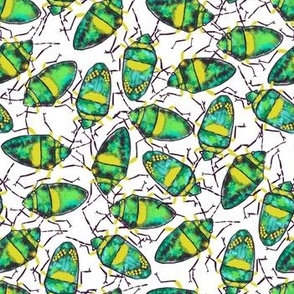 Emerald-Yellow Bugs bunch