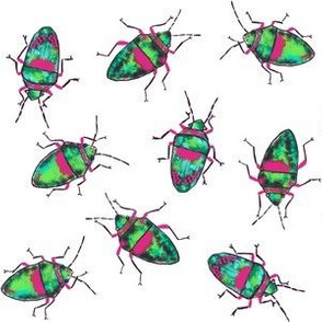 Emerald-Pink bugs